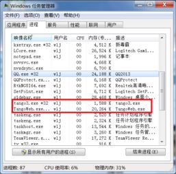 糖果瀏覽器在Windows任務(wù)管理器中的進(jìn)程標(biāo)識